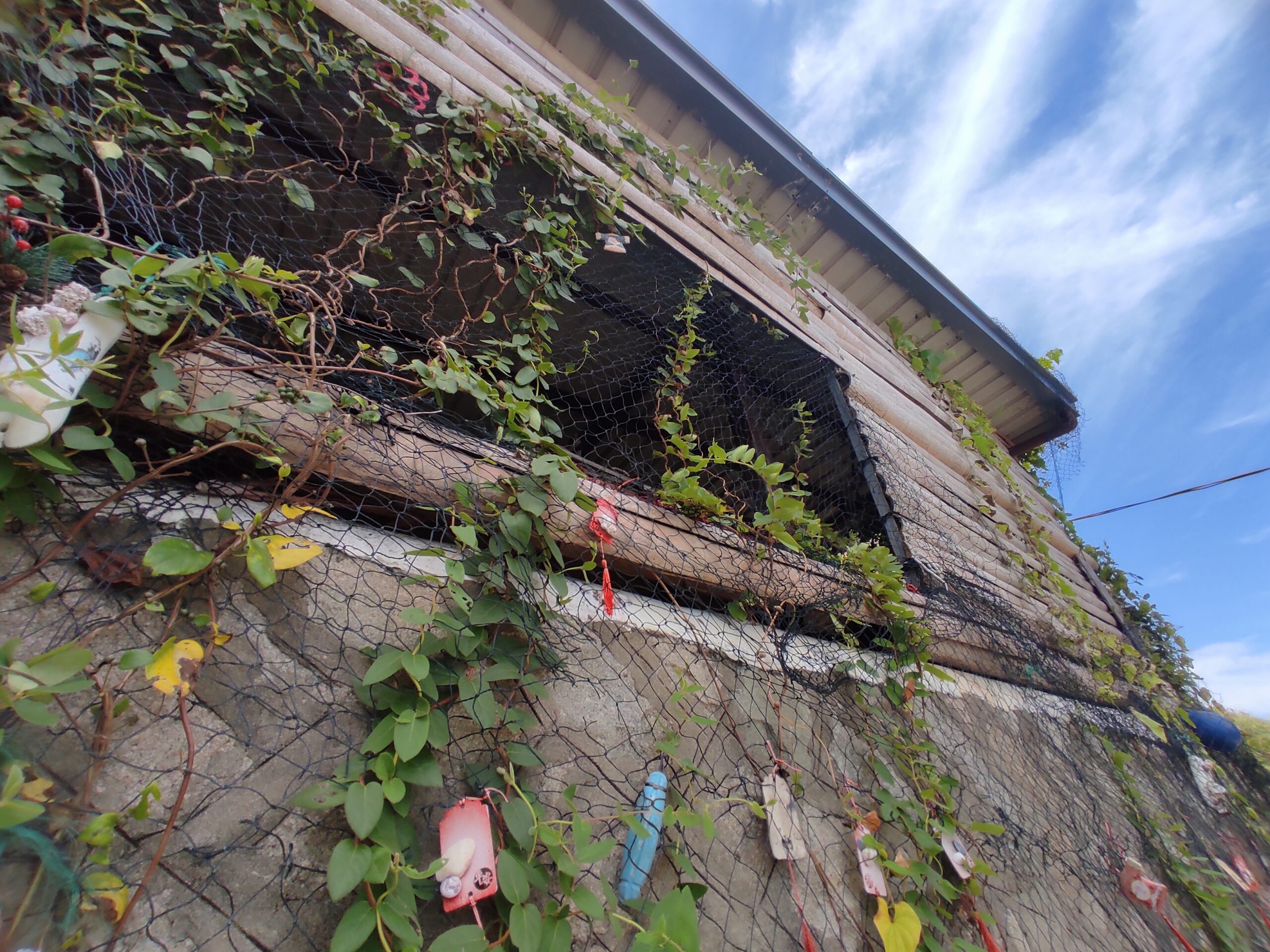 IMG 20250824 112523 scaled