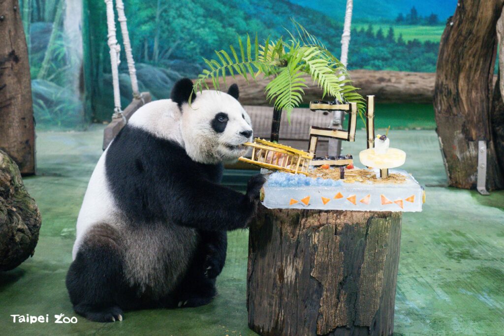 a7eae9ab 39f3 4f28 9771 0e2122c1bb9e