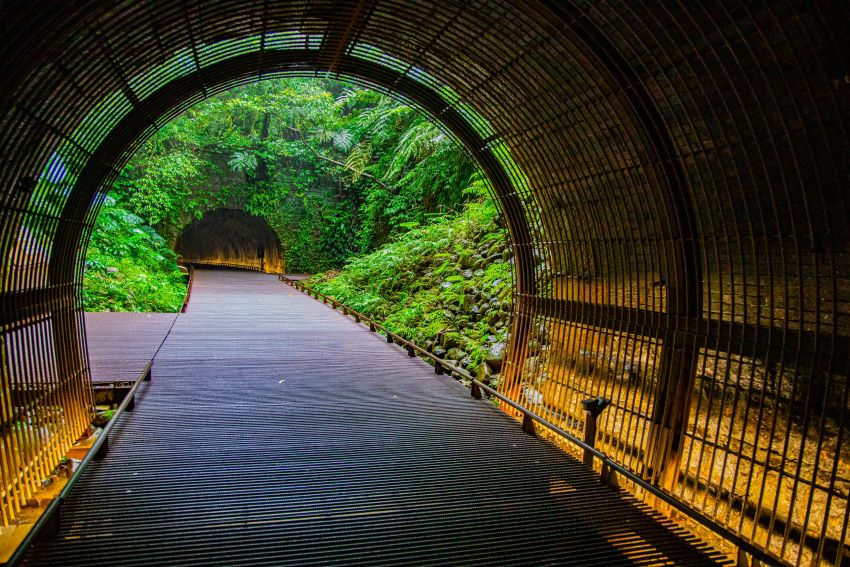 山海廊帶自然低碳輕旅 新北榮獲三項國家卓越建設獎 5 《圖說》「三貂嶺生態友善隧道」公私協力、跨域合作,打造生態友善示範區,實現綠色旅遊。〈觀旅局提供〉