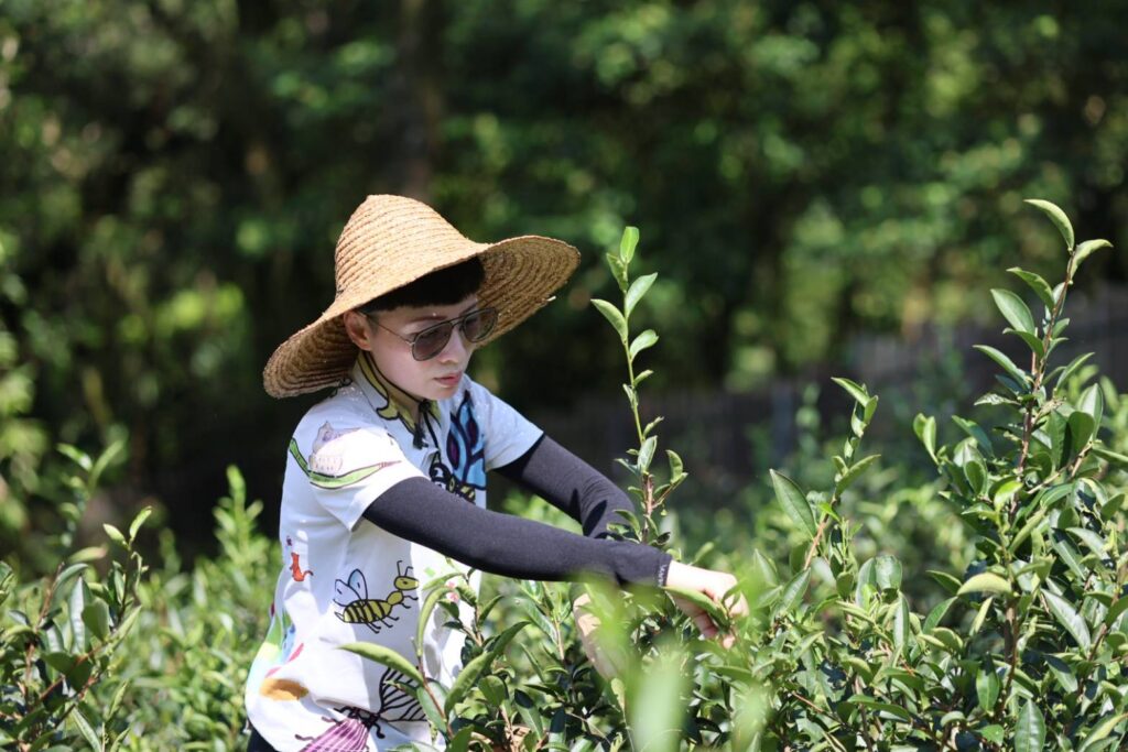 「新北影響力」再獲肯定 「金鵰獎」銀銅雙獎入袋 2 %E6%96%B0%E5%8C%97%E5%BD%B1%E9%9F%BF%E5%8A%9B%E4%B9%8B%E6%89%93%E9%80%A0%E6%B0%B8%E7%BA%8C%E8%8C%B6%E5%93%81%E7%89%8C%E7%9A%84%E6%9C%89%E6%A9%9F%E8%8C%B6%E8%BE%B2%E2%80%94%E6%B4%AA%E4%BD%B3%E7%8E%89%EF%BC%8C%E5%A0%85%E6%8C%81%E8%87%AA%E7%84%B6%E8%BE%B2%E6%B3%95%EF%BC%8C%E5%AF%A6%E8%B8%90%E5%8F%8B%E5%96%84%E5%9C%9F%E5%9C%B0%E7%90%86%E5%BF%B5