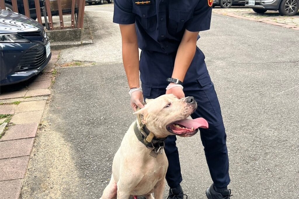 犬隻誤闖幼兒園周邊  警即時處置助其返家 2 MEITU 20250921 102405611