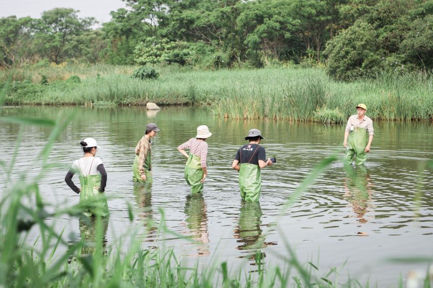以藝術為橋濕地為伴 新北濕地藝術季10/4見 2 《圖說》創作營團隊穿著青蛙裝進入濕地踏查、收集創作靈感。〈高灘處提供〉