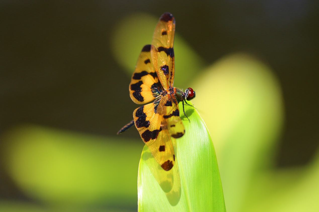 40a48e9e 575f 4d8a b98a 04665893aa3f