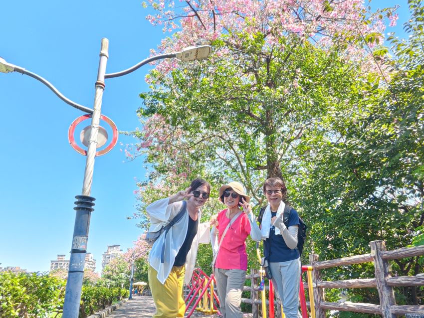 粉紅秘境浪漫登場 三峽美人樹盛裝迎賓 4 《圖說》賞花民眾直呼,今天散步三峽安溪步道,發現了秋天的禮物。〈水利局提供〉