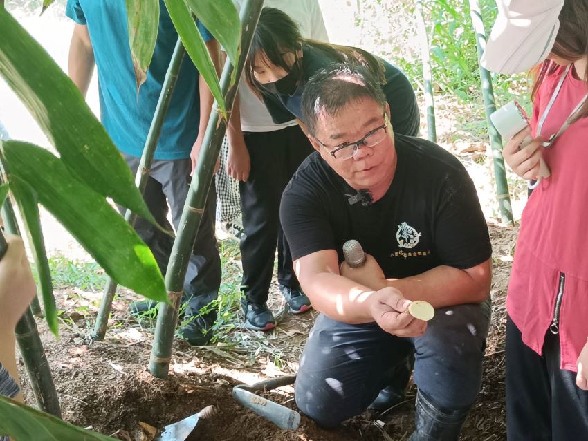 《圖說》八里黃金筍農場也提供黃金筍食農體驗。〈農業局提供〉