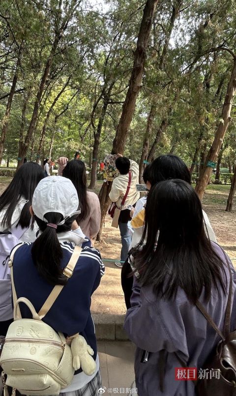 有粉絲帶來偶像照片、應援鑰匙扣、袖章與信件，將物品掛在認養牌上拍照留念。圖/取極目新聞