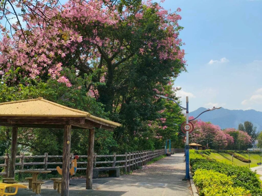 %E4%B8%89%E5%B3%BD%E6%B2%B3%E5%8F%B3%E5%B2%B8%E3%80%8C%E5%AE%89%E6%BA%AA%E7%BF%A0%E5%A0%A4%E3%80%8D%E4%B9%9F%E6%98%AF%E4%B8%80%E8%99%95%E7%BE%8E%E4%BA%BA%E6%A8%B9%E7%A7%81%E6%88%BF%E6%99%AF%E9%BB%9E%EF%BC%8C%E6%AF%8F%E5%88%B0%E8%8A%B1%E6%9C%9F%E7%B8%BD%E6%98%AF%E5%90%B8%E5%BC%95%E4%B8%8D%E5%B0%91%E6%B0%91%E7%9C%BE%E4%BE%86%E6%AD%A4%E6%95%A3%E6%AD%A5%E8%B3%9E%E8%8A%B1%E6%8B%8D%E7%85%A7