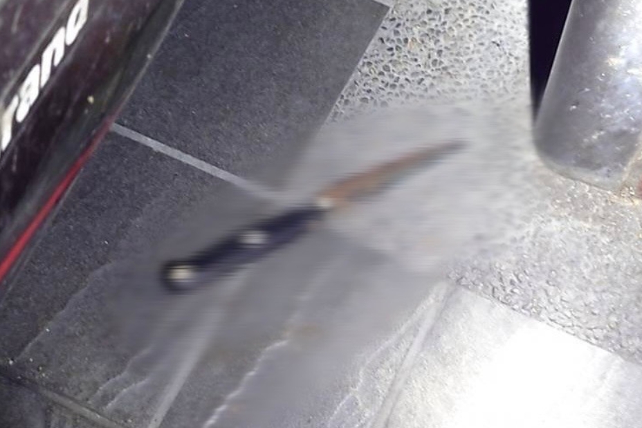 MEITU 20251007 123806670