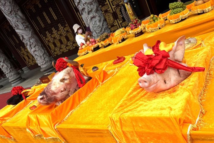 共拜始祖 2025兩岸炎帝陵拜謁儀式在湖南炎陵隆重舉行 4 台灣代表團依禮舉行傳統「三獻禮」儀式獻上豬、牛、羊等貢品。圖/記者陳素貞攝