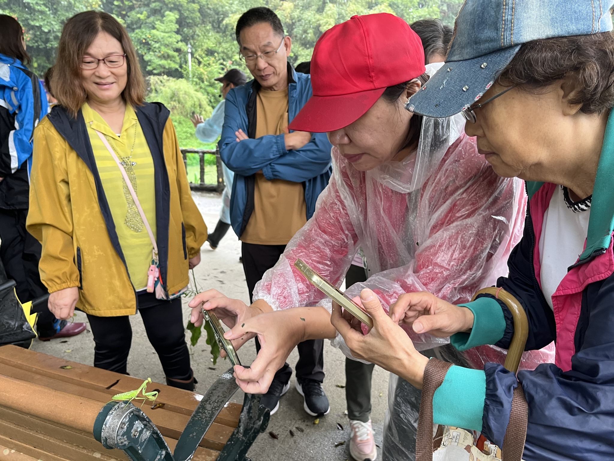 實現永續環境理念四維里舉辦走讀荷花池生態教育課程 5 571225786 1312637840663574 5151069097486106835 n