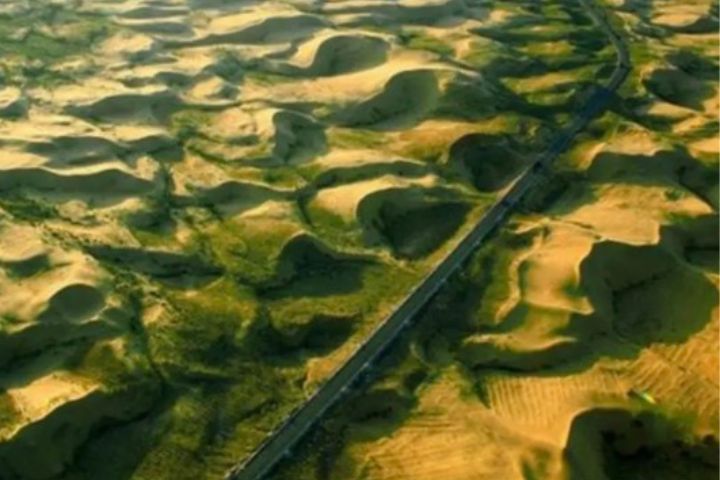 內蒙「治沙特種兵」黑豬變身拱沙、施肥、播種 植被覆蓋飆升至96% 4 在內蒙古部分退化草場與沙化地帶,利用散養黑豬「拱地」的習性,成功改善土壤結構、促進草籽萌發。圖/取自瓴麟科技微信公眾號