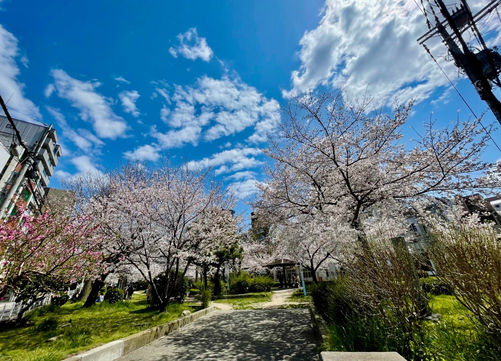 開啟日本留學申請代辦新篇章!優夏國際顧問(UJAPAN)以大阪在地團隊打造安心體驗 6 03%E5%84%AA%E5%A4%8F%E5%9C%8B%E9%9A%9B%E9%A1%A7%E5%95%8F%E4%BB%A5%E5%A4%A7%E9%98%AA%E5%9C%A8%E5%9C%B0%E5%9C%98%E9%9A%8A%E6%89%93%E9%80%A0%E5%AE%89%E5%BF%83%E9%AB%94%E9%A9%97