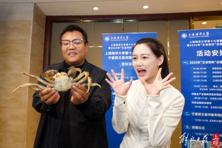 上海崇明島的母蟹以451.2克封后。圖/取自上觀新聞