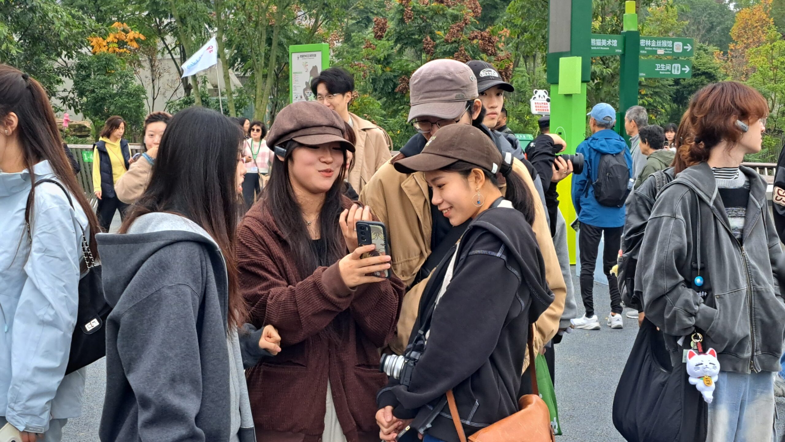 第八屆兩岸大學生創意短視頻創作比賽在成都開拍 4 在成都大熊貓繁育基地,台灣大學生驚嘆:「從來都沒看過這麼多大熊貓。」圖/記者宋秉忠攝