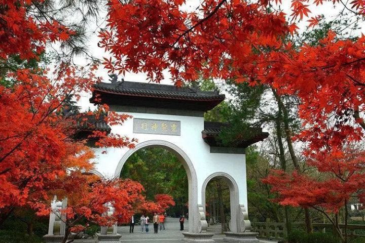 杭州靈隱寺明年1700歲 12月起景區全面免費 2 杭州靈隱寺12月後可能出現「免費朝聖潮」。圖/取自靈隱寺官網