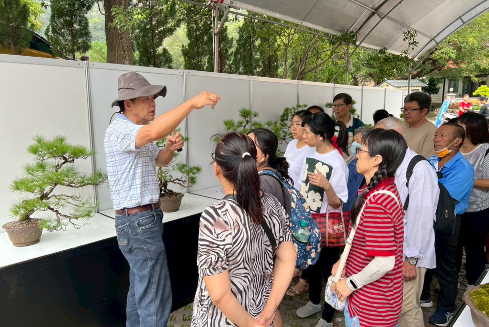 02%E4%BA%94%E8%91%89%E6%9D%BEDIY