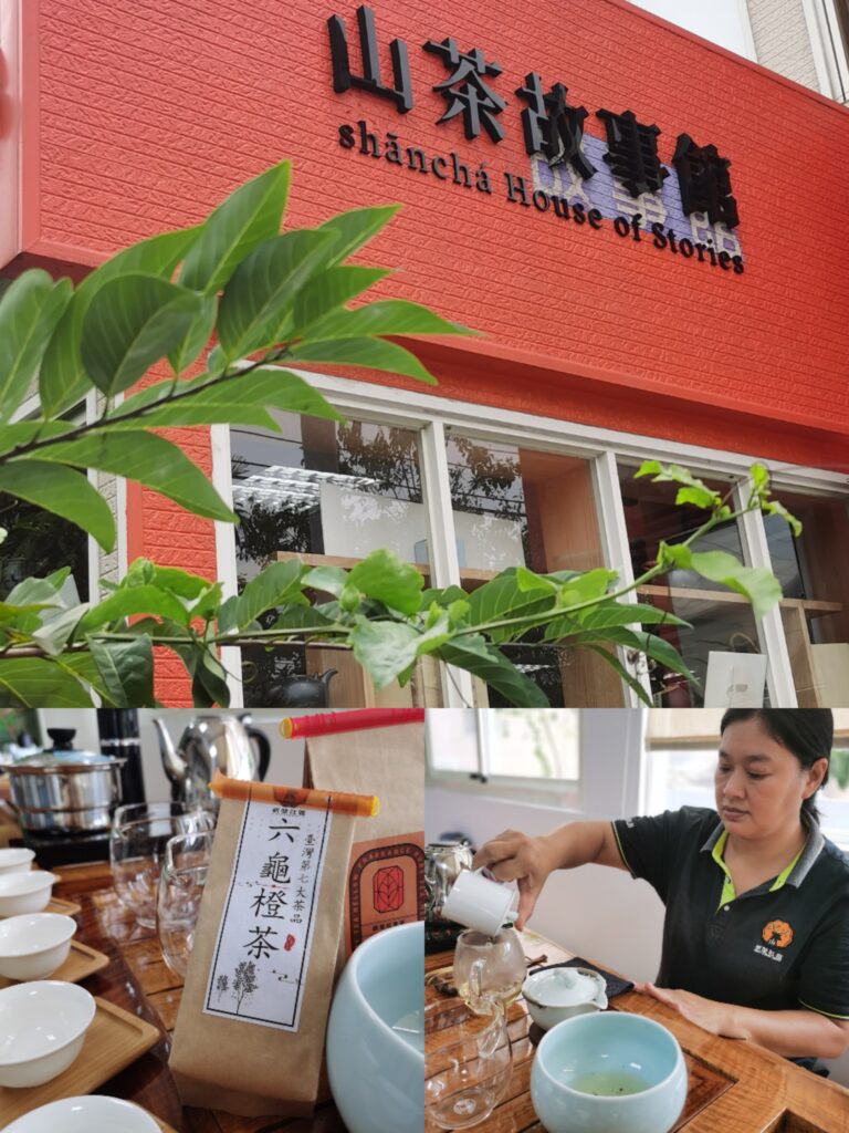 Collage 20251125 235220 115318 768x1024 1