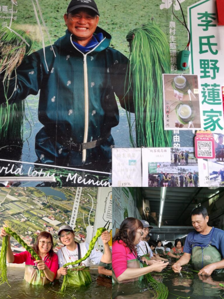 Collage 20251125 234614 115429 768x1024 1