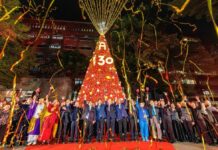 全紅聖誕樹耀亮國北教大!「130向前走」點燈祈福登場 億光捐贈「360吋LED戶外全彩電視牆」添亮點