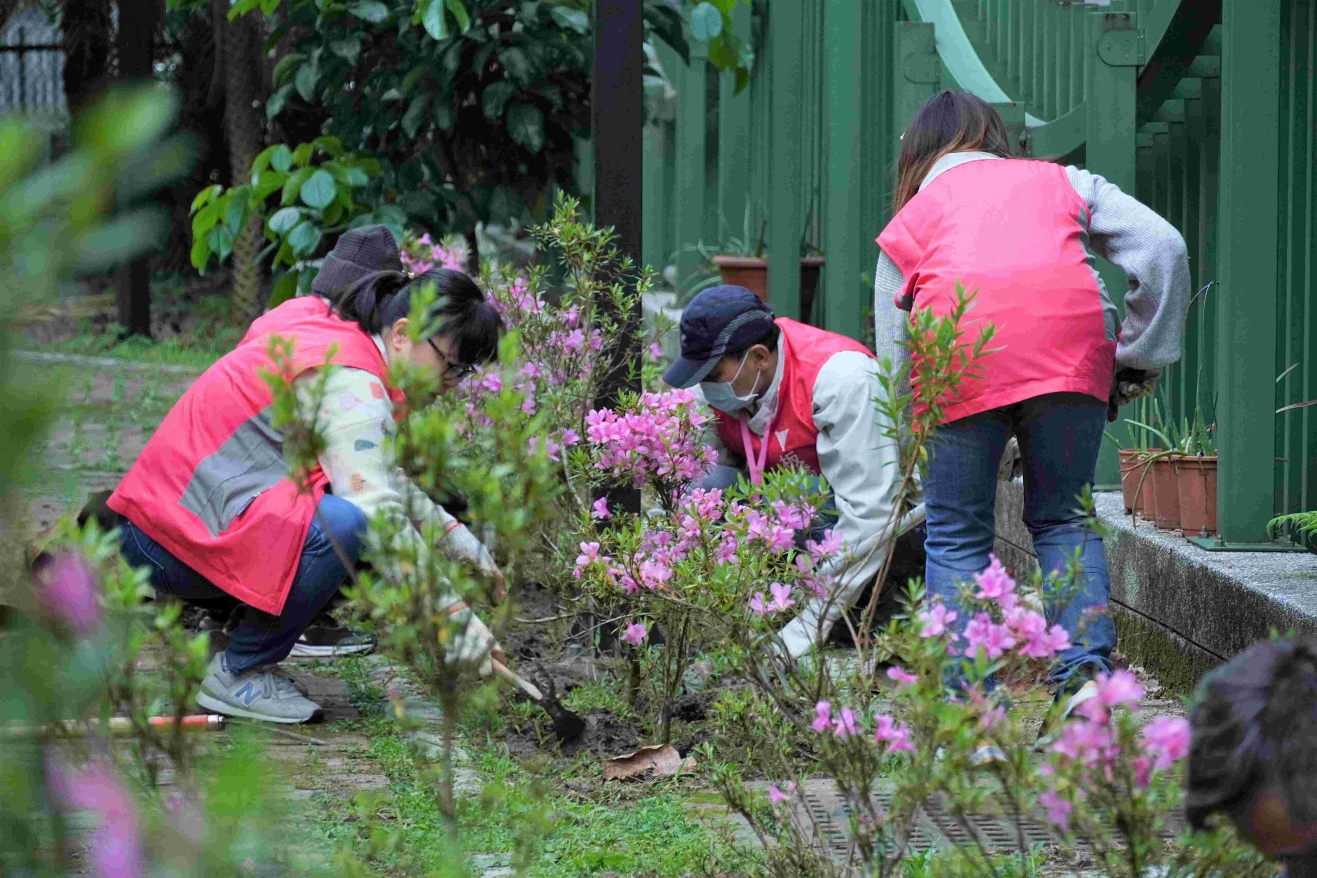 %E6%B0%91%E7%9C%BE%E9%A0%98%E8%8B%97%E5%BE%8C%E5%8F%AF%E8%87%B3%E7%82%BA%E5%9C%B0%E7%90%83%E7%A8%AE%E4%B8%8B%E4%B8%80%E6%A3%B5%E6%A8%B9%E7%99%BE%E8%90%AC%E4%BA%BA%E7%A8%AE%E7%99%BE%E8%90%AC%E6%A8%B9%E5%AE%98%E7%B6%B2%E4%BA%86%E8%A7%A3%E5%A6%82%E4%BD%95%E7%A8%AE%E6%A8%B9 scaled 1