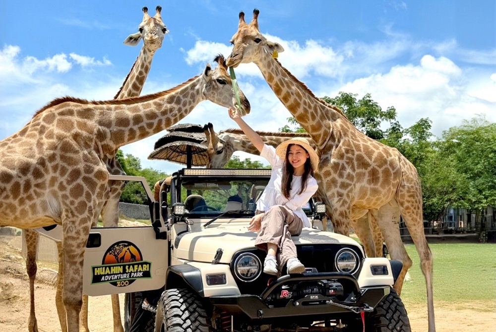 03%E8%B5%B0%E8%B7%B3%E6%97%85%E9%81%8A%E6%9B%BC%E8%B0%B7%E5%B9%AB%E4%BB%A5%E4%B8%80%E6%A2%9D%E9%BE%8D%E6%9C%8D%E5%8B%99