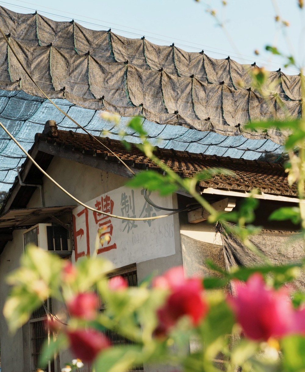 03%E6%97%A5%E8%B1%90%E8%A3%BD%E8%8C%B6%E4%BB%A5%E5%8C%A0%E5%BF%83%E6%89%93%E9%80%A0%E9%AB%98%E5%B1%B1%E8%8C%B6%E8%91%89%E7%A6%AE%E7%9B%92%E6%96%B0%E9%A2%A8%E8%B2%8C