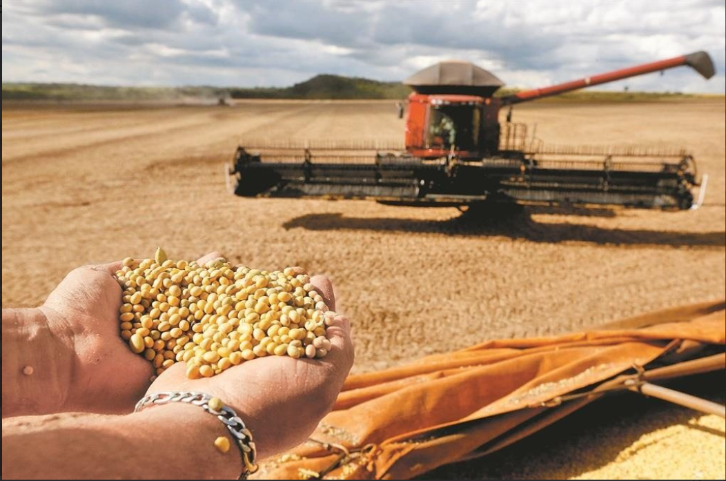 大陸敢不進口美國大豆的原因 2 大陸正在增產大豆,以減少對進口大豆的依賴。圖/取自新華社