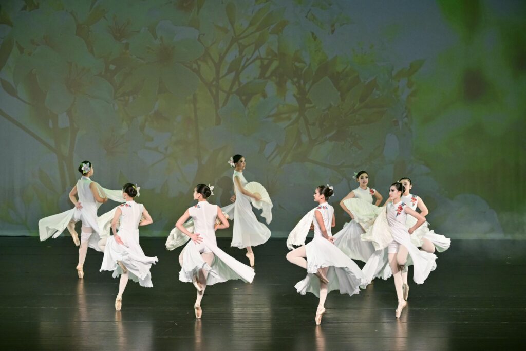 S 233717784 1024x683 2