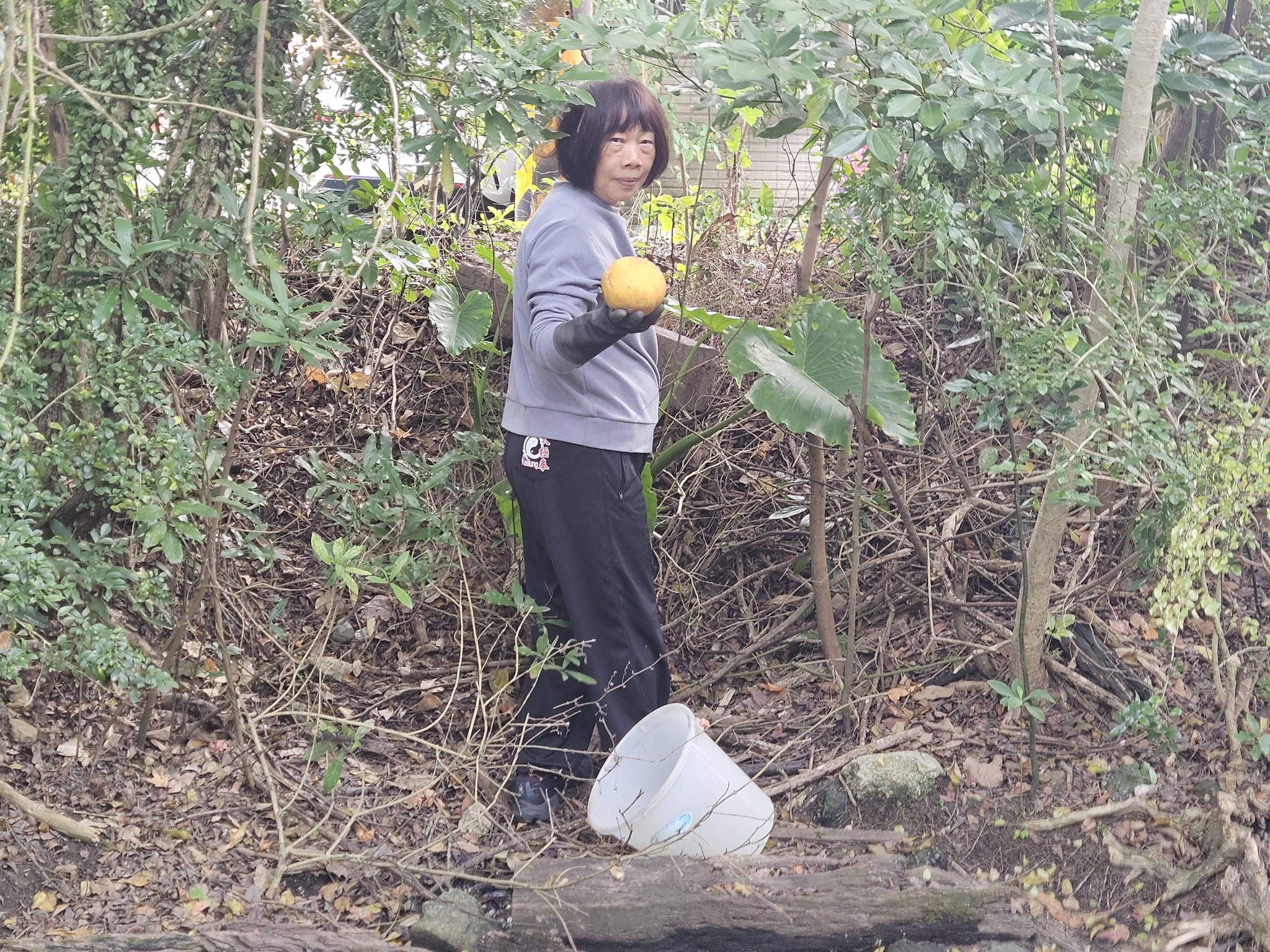 617698097 26052794527648538 7904639674800034571 n