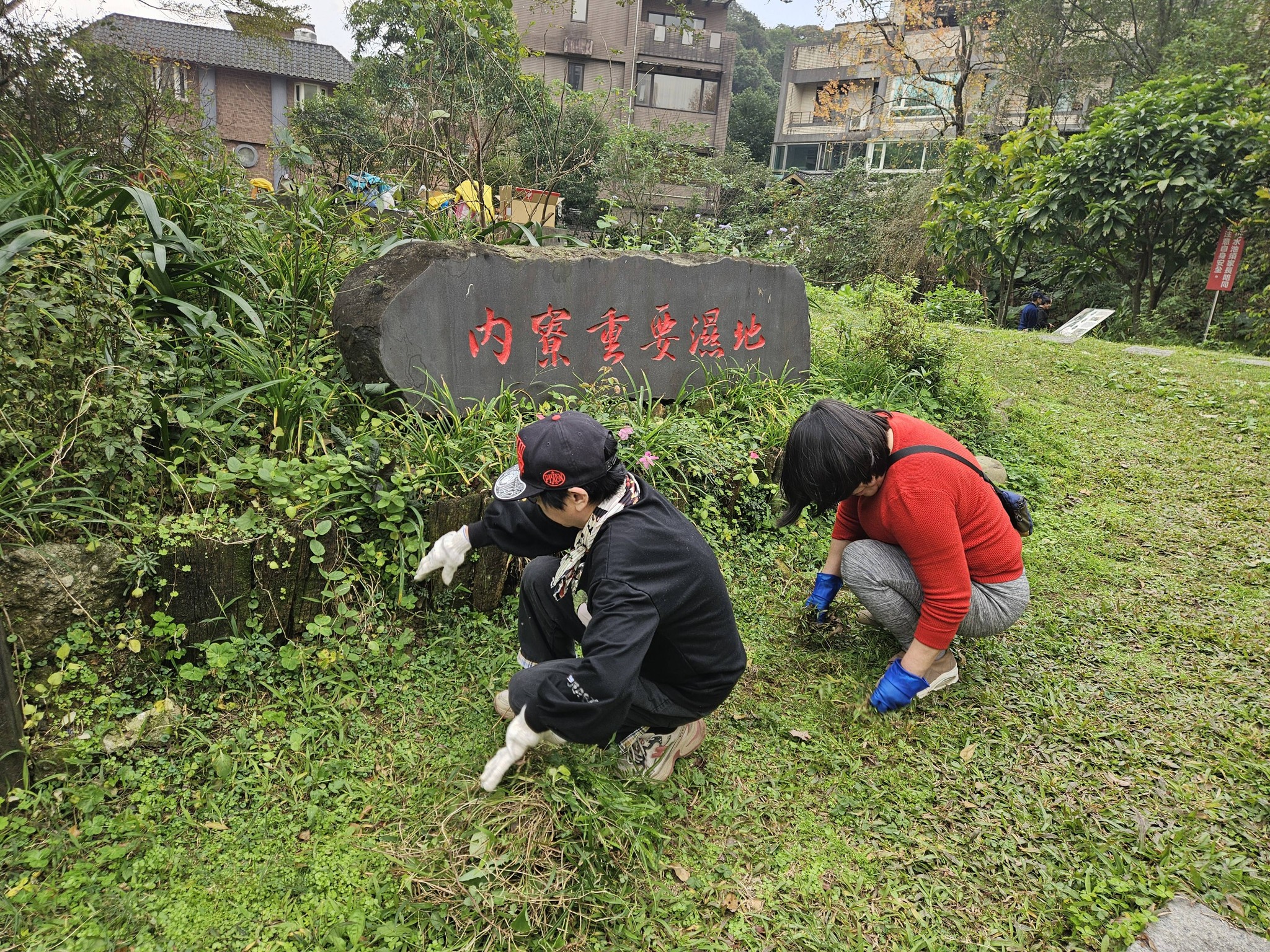 616553192 26052791954315462 4916351952727717556 n