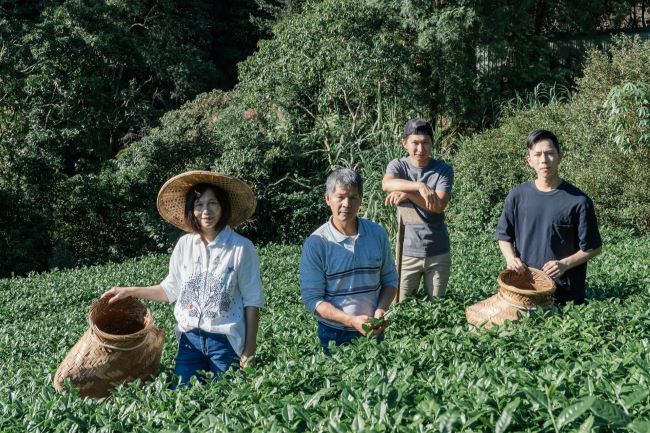 精品好茶國際飄香 新北茶農橫掃歐洲最高榮譽 7 《圖說》坪林區「白青長茶作坊」由製茶第5代的青農兄弟檔白俊育(右2)、白順揚(右1)組建,獲得法國「世界茶葉大賽」金獎殊榮--資料照片。〈農業局提供〉