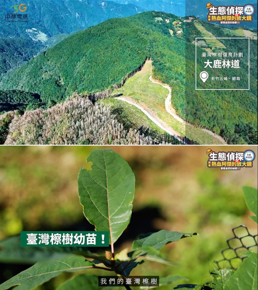 02%E4%B8%AD%E8%8F%AF%E9%9B%BB%E4%BF%A1%E6%8E%A8%E5%8B%95%E5%A4%A7%E9%B9%BF%E6%9E%97%E9%81%93%E9%80%A0%E6%9E%97%E5%BE%A9%E8%82%B2