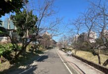 強化河岸防洪提升 汐止康誥坑溪固床工程完工