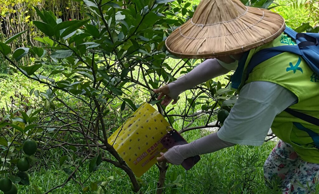 病蟲害防治基礎功不可少 2 afe69d93 9f25 4933 ba73 3cd7a4073a90 1024x622 1