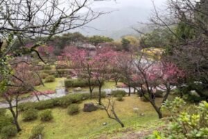 MEITU 20260204 125616784 300x200 1