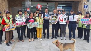 MEITU 20260206 212956706 300x169 1