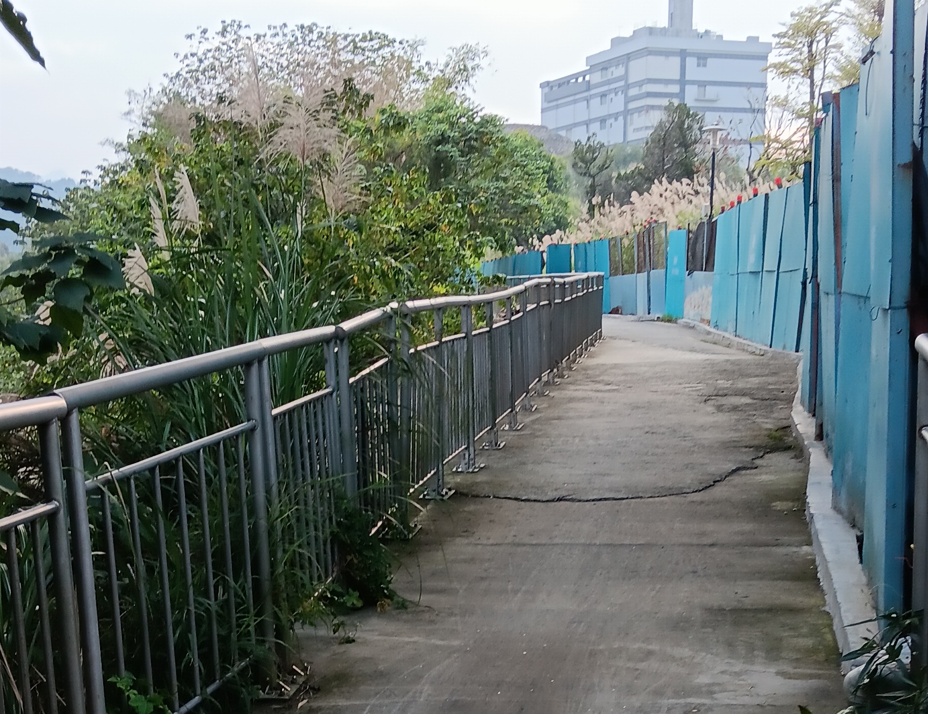 《圖說》三峽河自行車道路面老舊，高灘處與捷運合作安排鋪面改善工程。〈高灘處提供〉