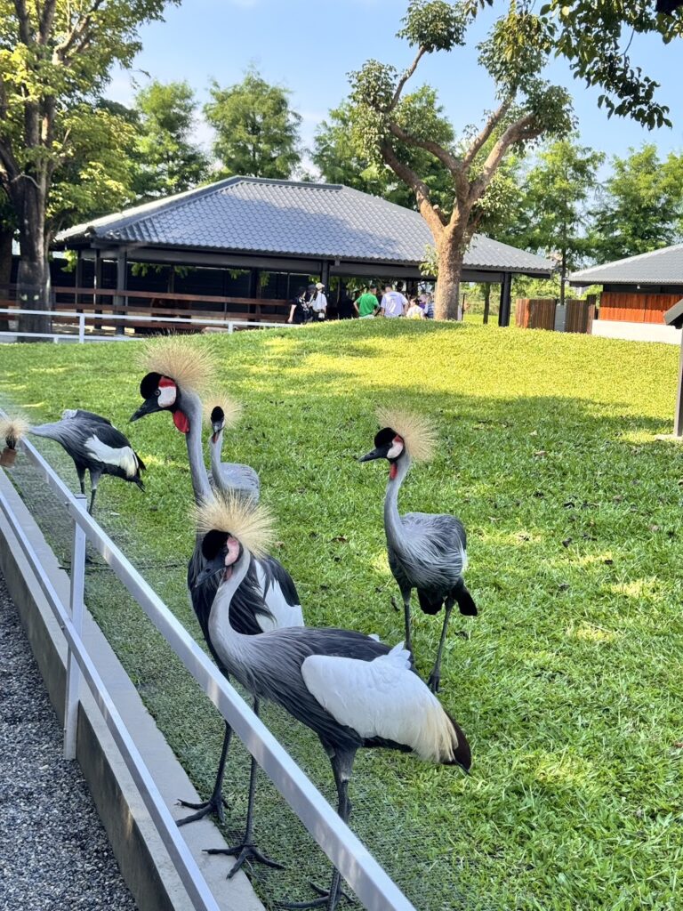 動物保護與人道關懷至上 九九峰動物樂園助宜蘭萌寵農場度難關 6 S 15048800 768x1024 1