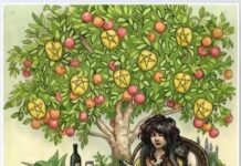 《2026年子玄破譯占星流年》處女座 人生道路漸漸清晰 學會開朗生活 簡單平靜的生活 豐富內在等待好時機