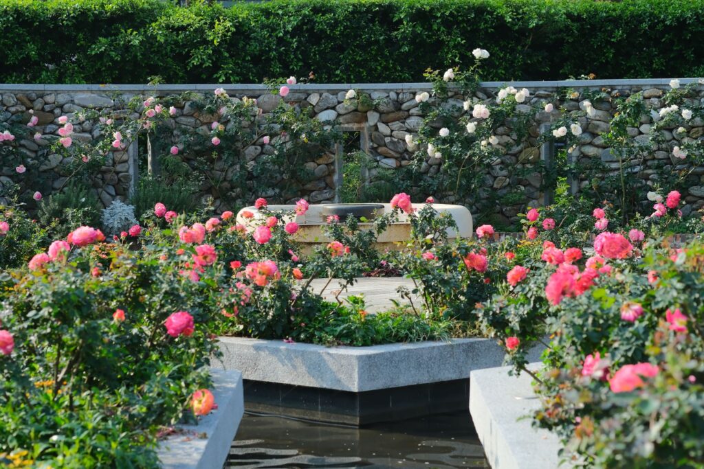 3f826630 6e5e 47b5 aa4b f24639e9939e 1024x683 1