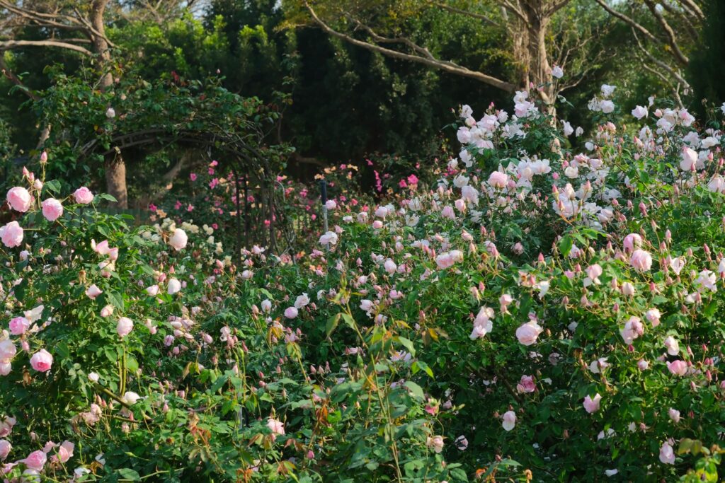 af098ee4 2092 45fa b203 9a3934da7518 1024x683 1