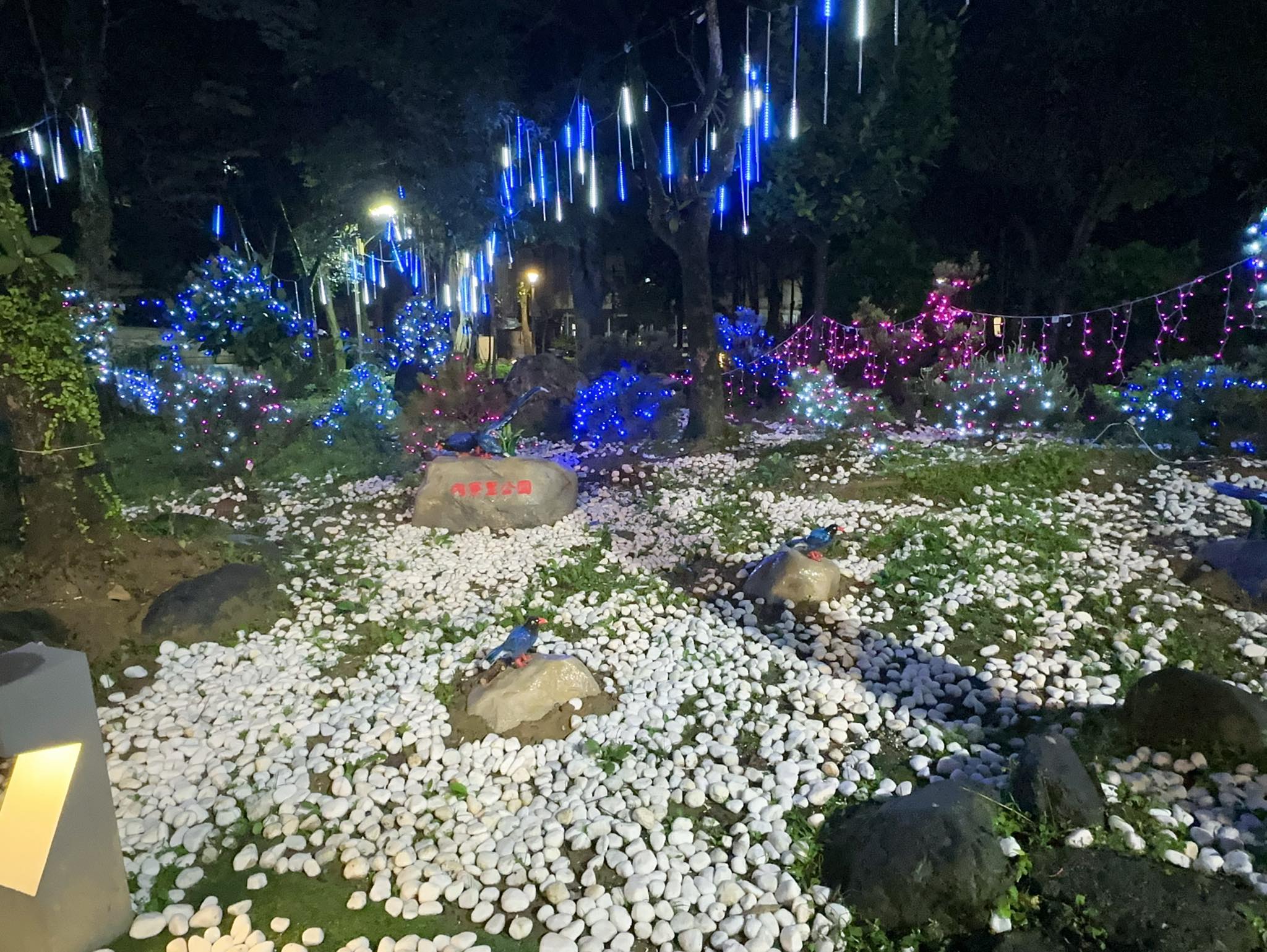 652986147 26177853328544524 7618382882678778684 n