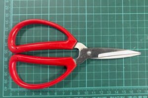 債務糾紛釀衝突 萬華警火速壓制嚴查辦 4 MEITU 20260321 111811400 300x200 1