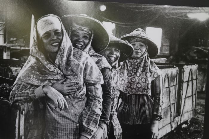 《圖說》菁桐男人入礦坑採礦，婦女幫忙選媒。原攝影者朱健炫老師，翻拍自菁桐礦業生活館。〈社會局提供〉