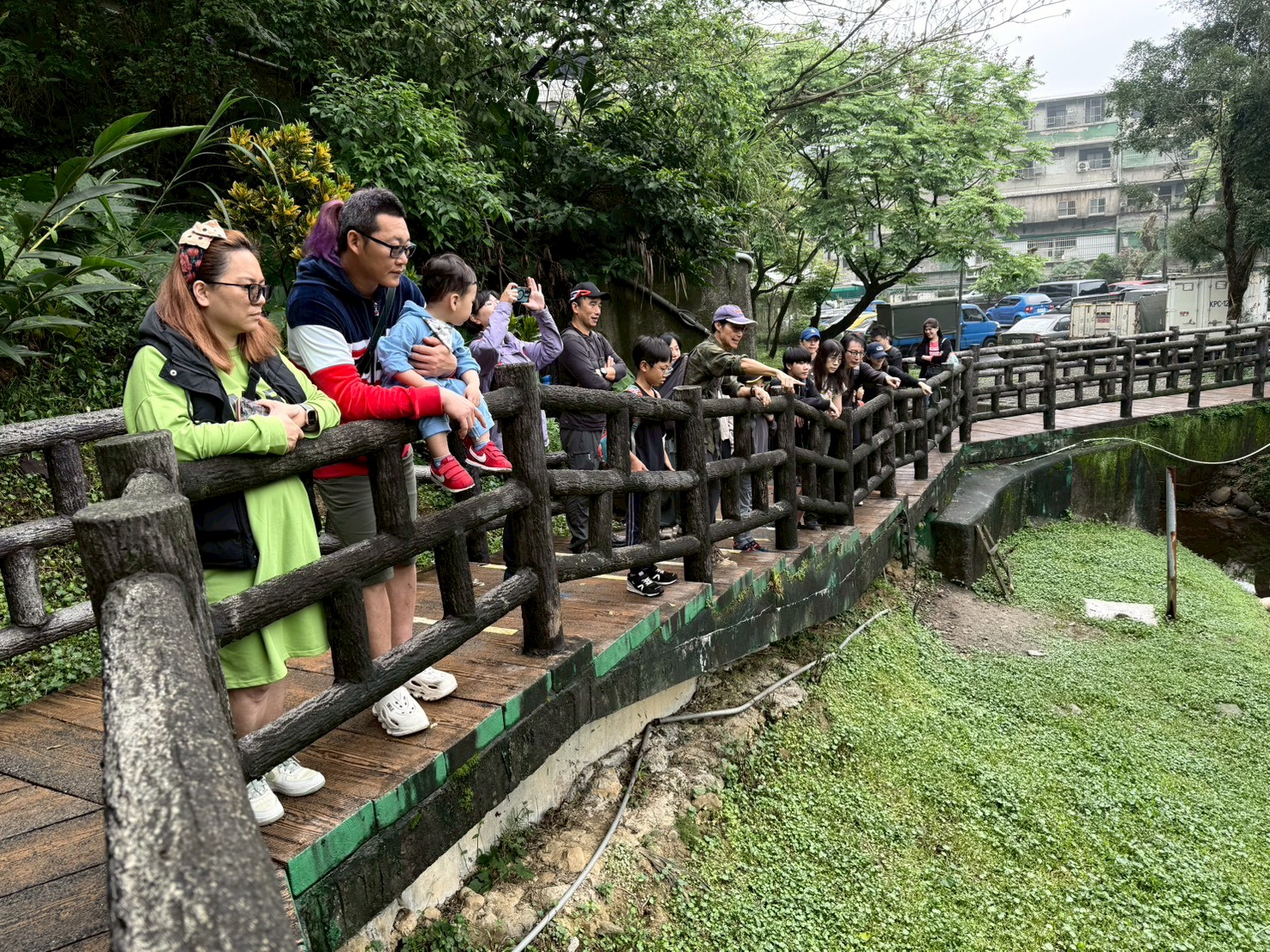 國家新城金龍湖吸引外來觀光客探索山湖生態 7 LINE ALBUM 1150329%E5%8F%B0%E5%8C%97%E4%BA%BA%E6%8E%A2%E7%B4%A2%E9%87%91%E9%BE%8D%E6%B9%96 260329 4