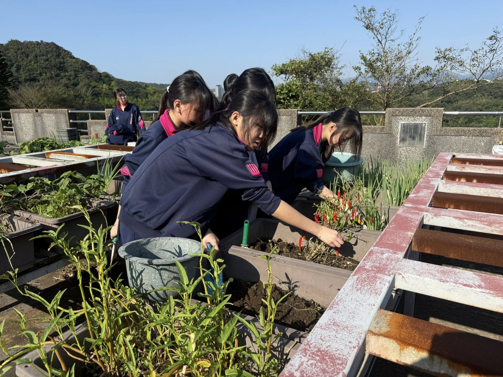 二信高中「開心農場」選修課程培養高中生環境永續的社會責任 11 654299114 25816658211370231 2226159088696706941 n