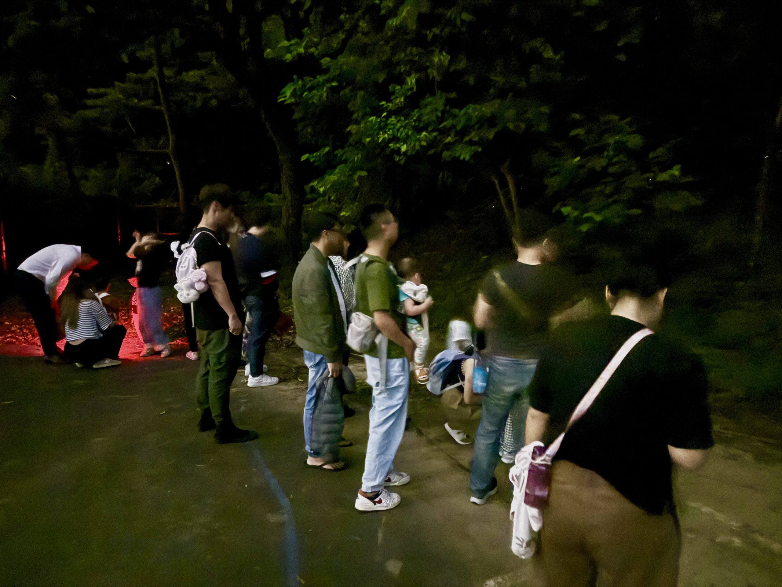 B715A694 2FE8 416D 930D 53F0B47432CF scaled