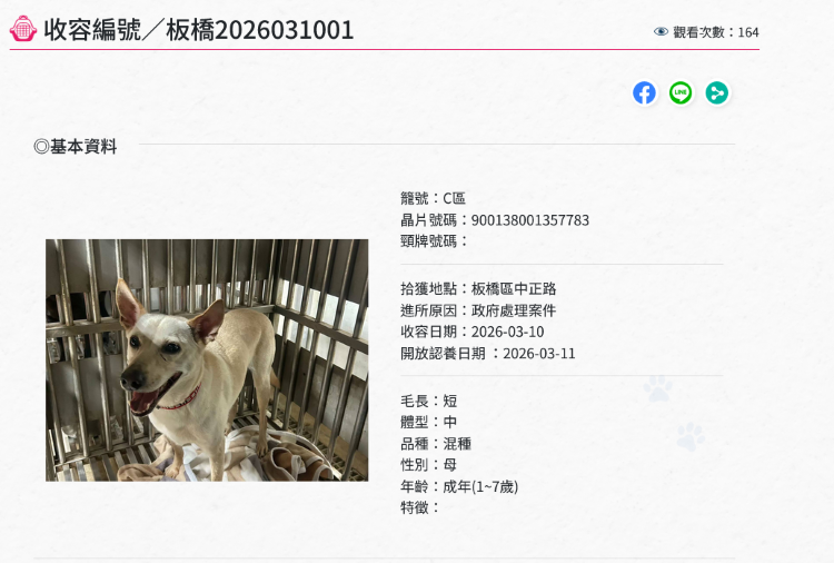 《圖說》板橋動物之家收容編號。〈動保處提供〉