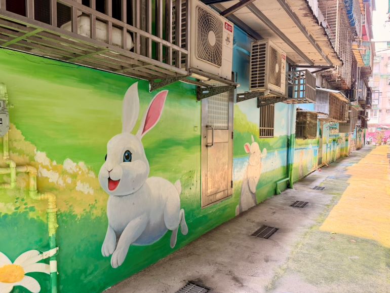 污水接管結合彩繪美學 新北760條後巷翻轉社區風貌 7 《圖說》來一起拍照呀【中和區明穗里】。〈水利局提供〉