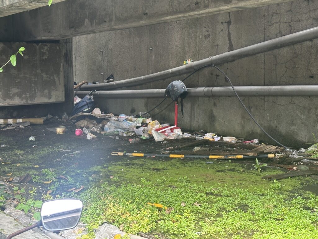 關注鼠患與漢他病毒 林廷翰籲:別用恐慌取代專業 4 699545314 122119397265243967 8916649116636145480 n 1024x768 1